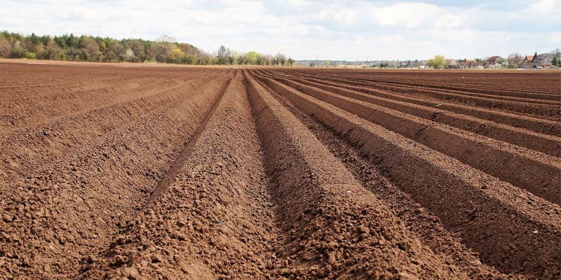 Какие удобрения вносить осенью в почву — ASM-AGRO